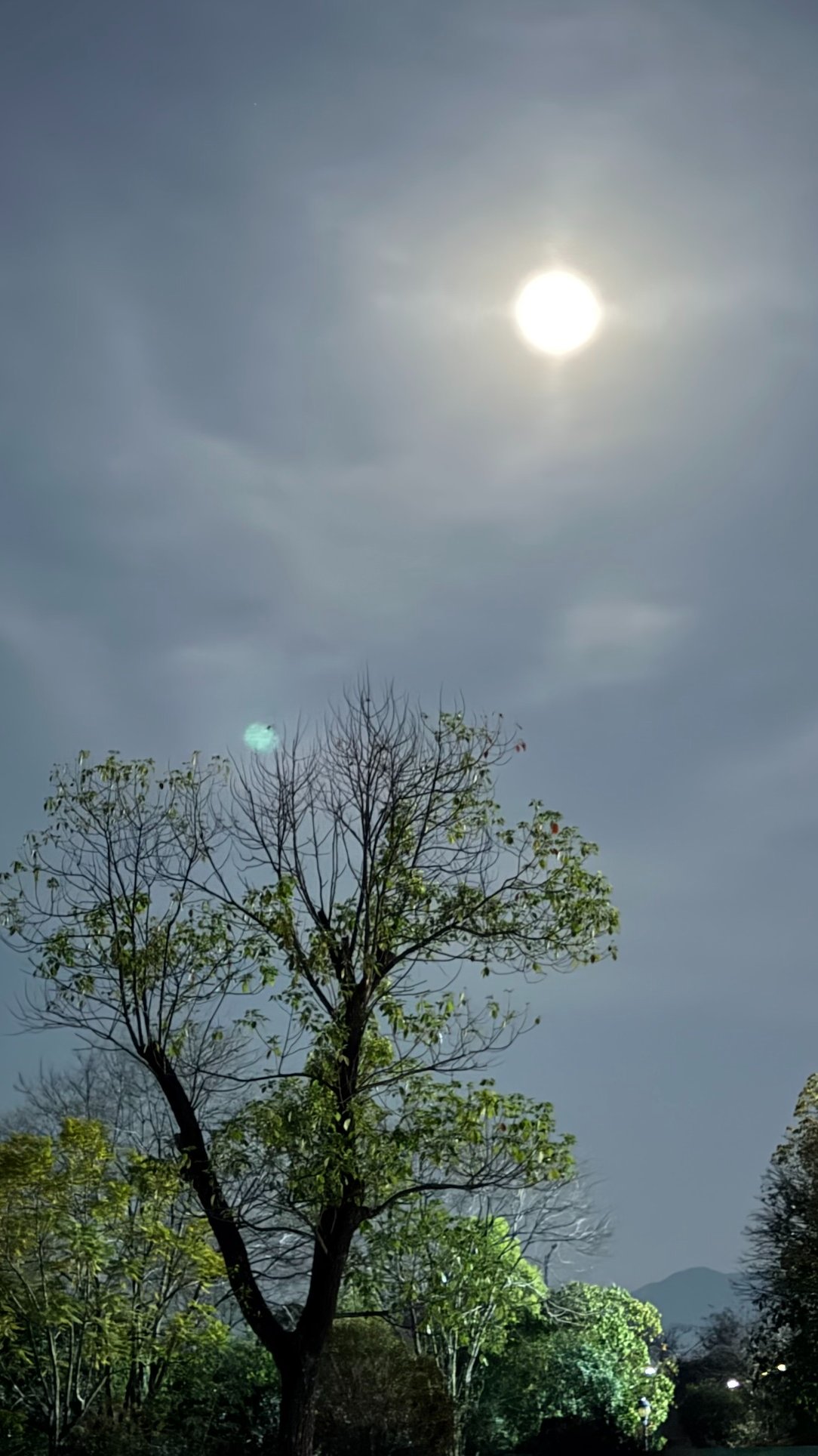 8615683637638 的头像